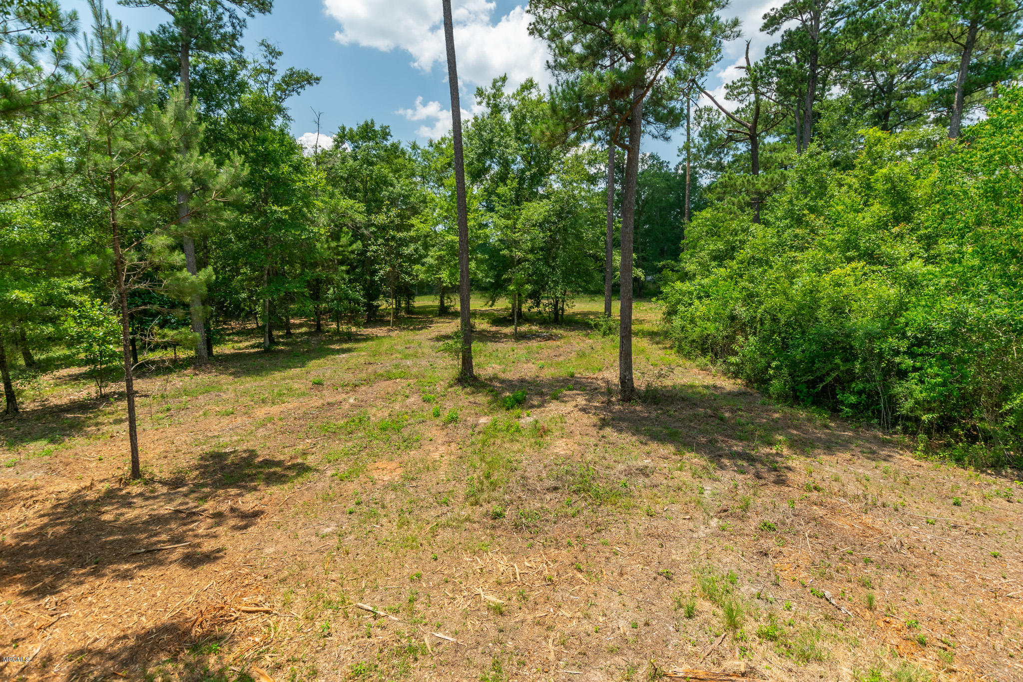 Parcel A Crump Road Kiln, MS 39556 - Photo 20 of 22 Ashman_Crump-Rd-Standard-Res-20