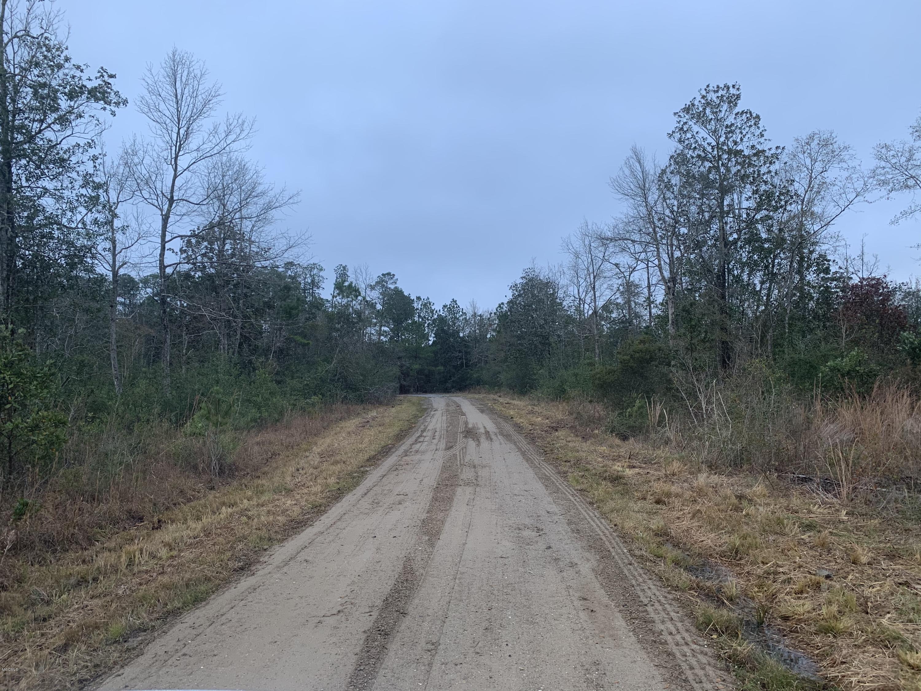 Parcel A Crump Road Kiln, MS 39556 - Photo 21 of 22 IMG_0802