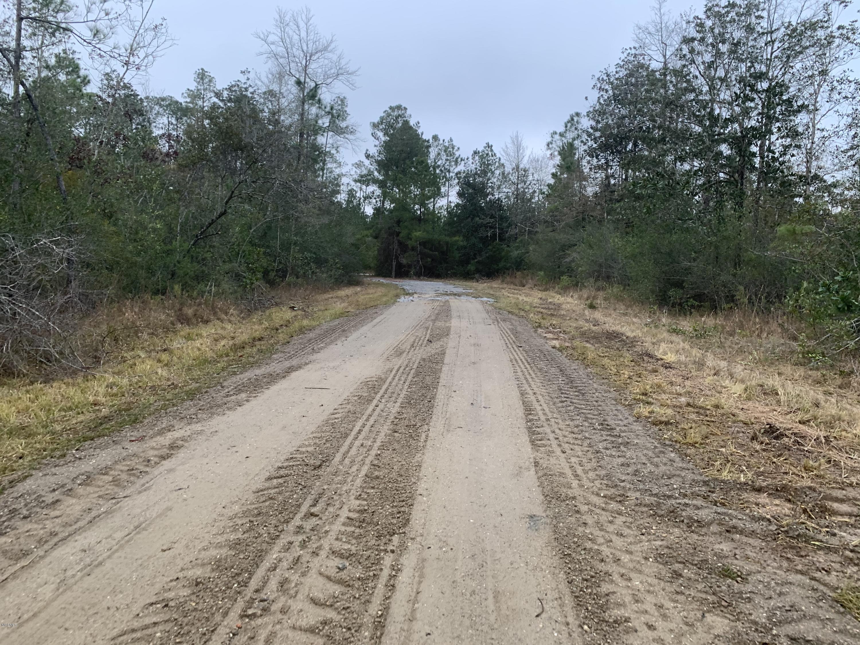 Parcel A Crump Road Kiln, MS 39556 - Photo 22 of 22 IMG_0804