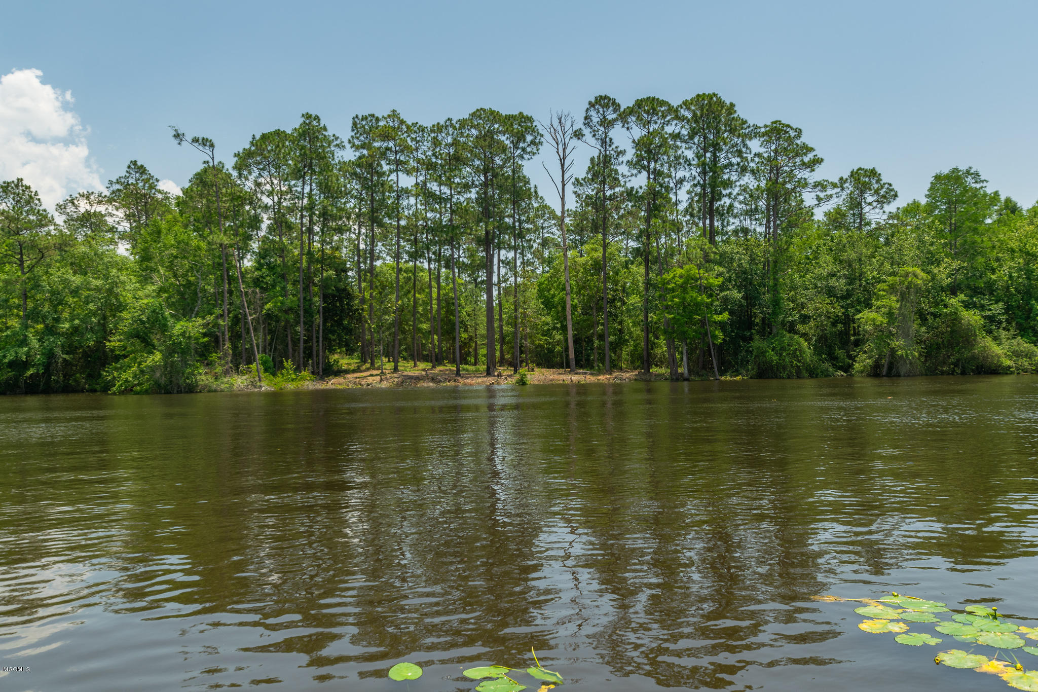 Parcel A Crump Road Kiln, MS 39556 - Photo 4 of 22 Ashman_Crump-Rd-Standard-Res-21