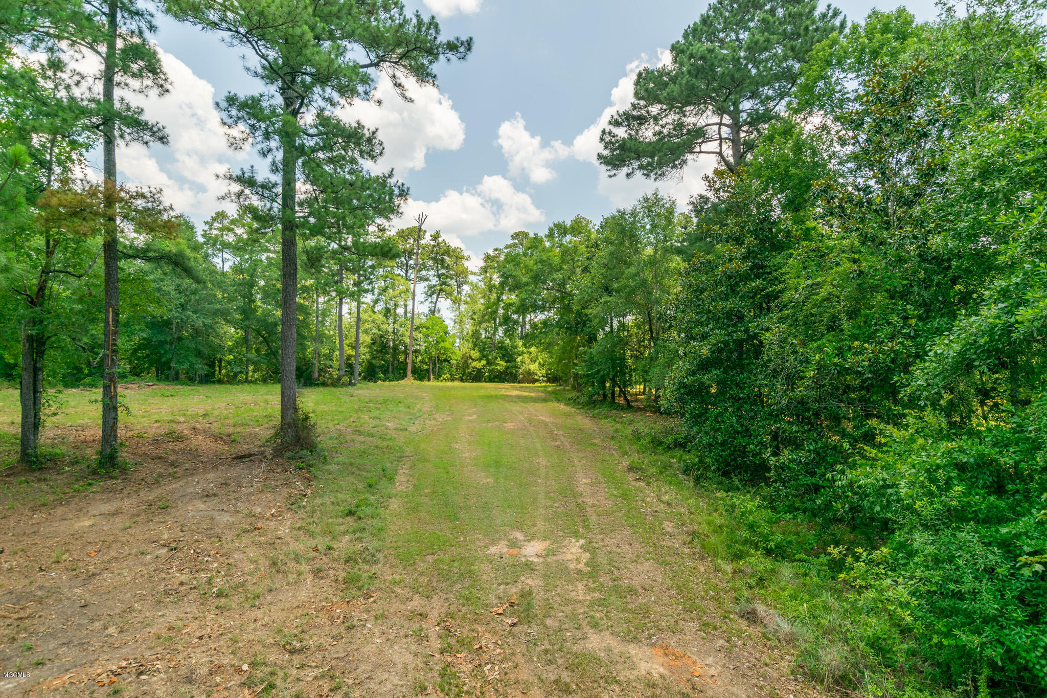 Parcel A Crump Road Kiln, MS 39556 - Photo 6 of 22 Ashman_Crump-Rd-Standard-Res-3