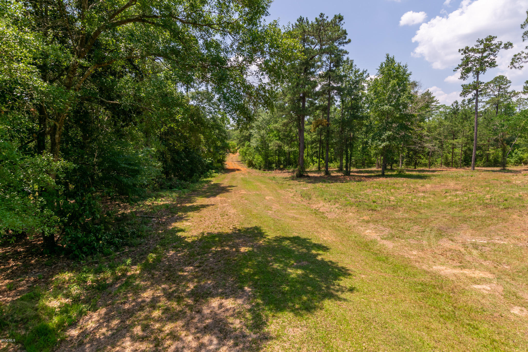 Parcel A Crump Road Kiln, MS 39556 - Photo 7 of 22 Ashman_Crump-Rd-Standard-Res-4