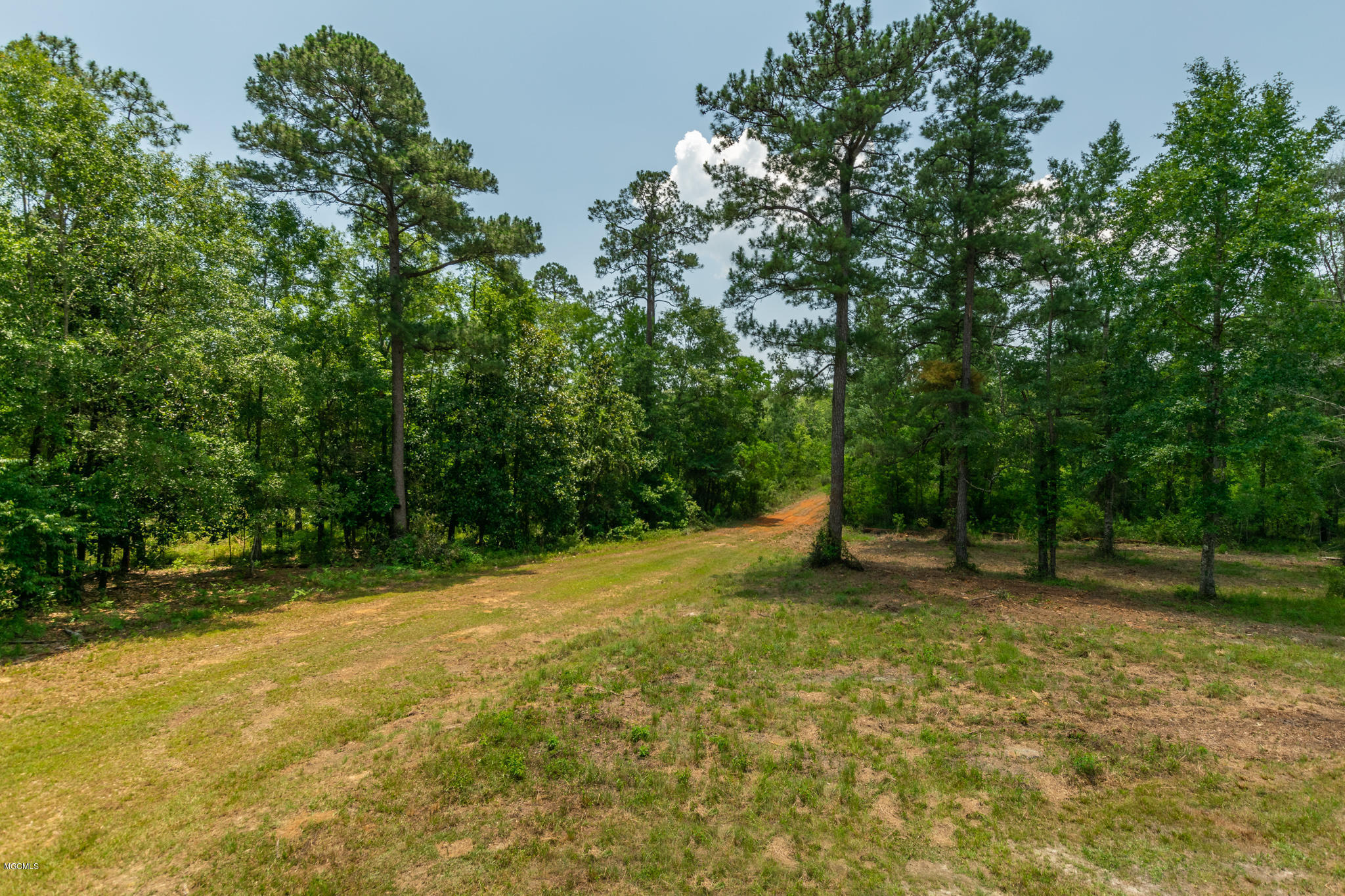 Parcel A Crump Road Kiln, MS 39556 - Photo 8 of 22 Ashman_Crump-Rd-Standard-Res-5