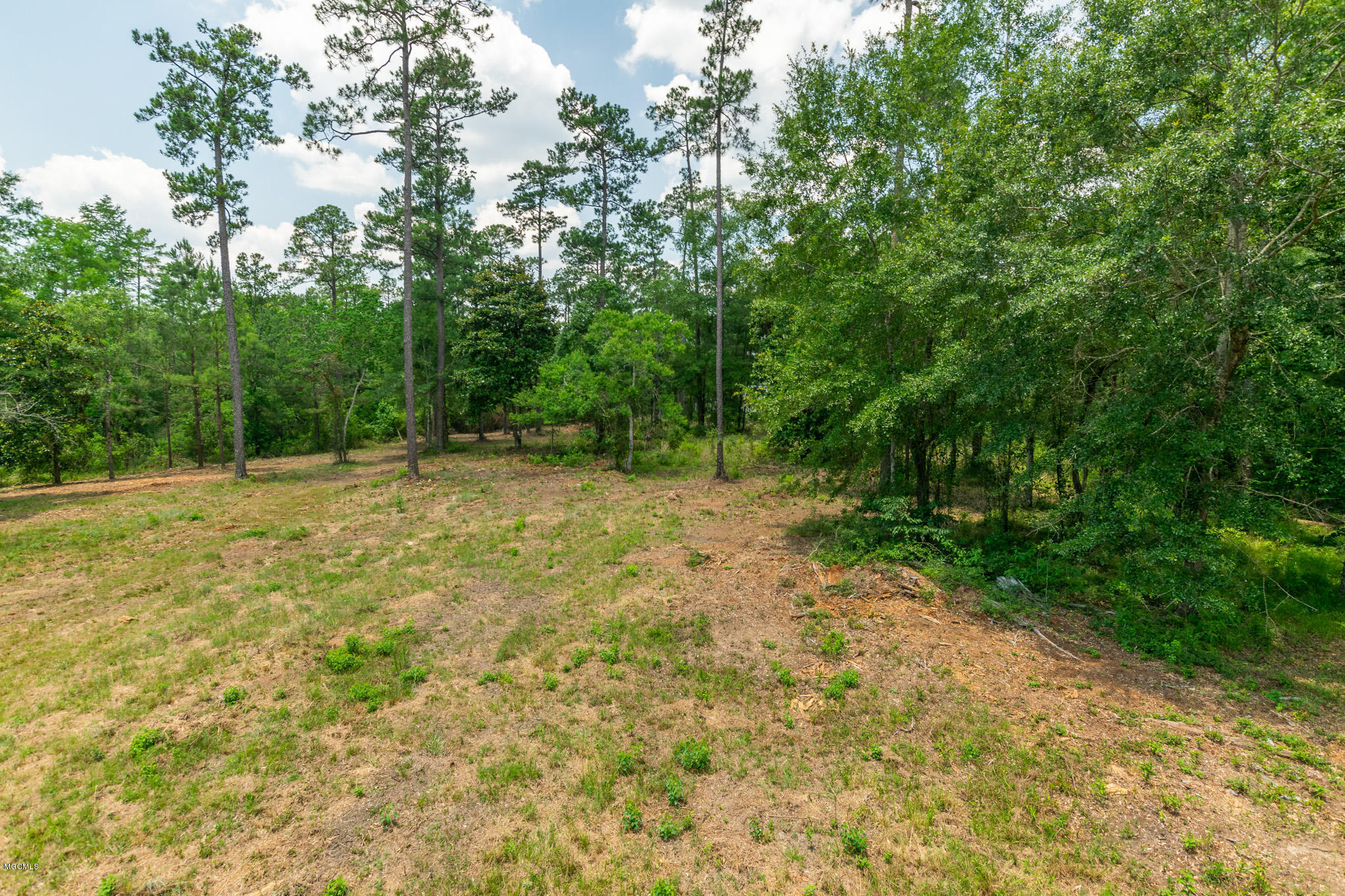 Parcel A Crump Road Kiln, MS 39556 - Photo 9 of 22 Ashman_Crump-Rd-Standard-Res-6