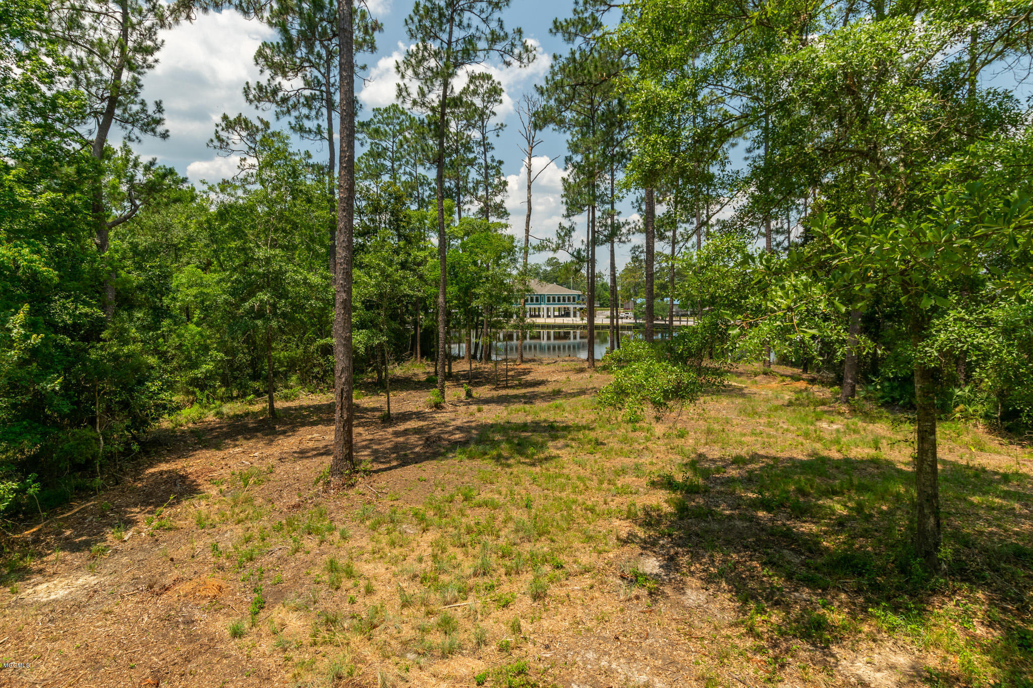 Parcel A Crump Road Kiln, MS 39556 - Photo 10 of 22 Ashman_Crump-Rd-Standard-Res-7