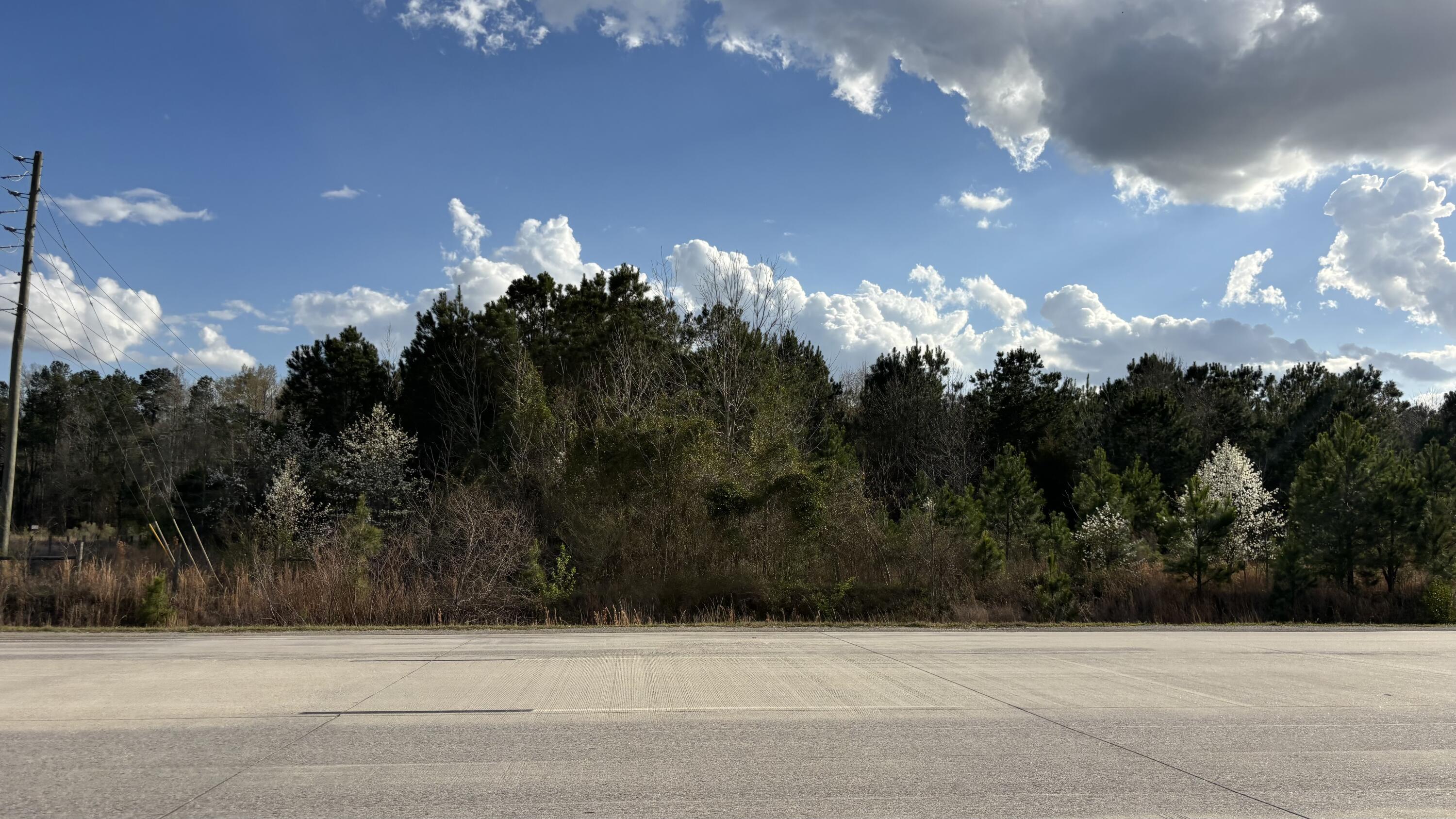 0 Five Five Chop Road Vance, SC 29163 - Photo 2 of 6