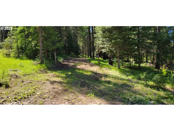 $265,000 | Chief Joseph Loop Road, Joseph, OR 97846