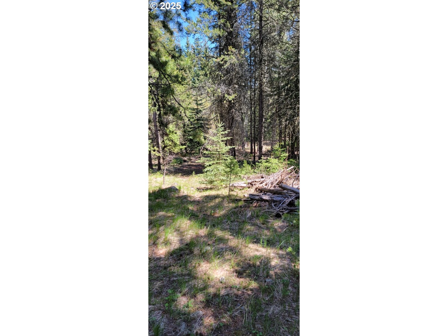 Chief Joseph Loop Road Joseph, OR 97846 - Photo 11 of 12