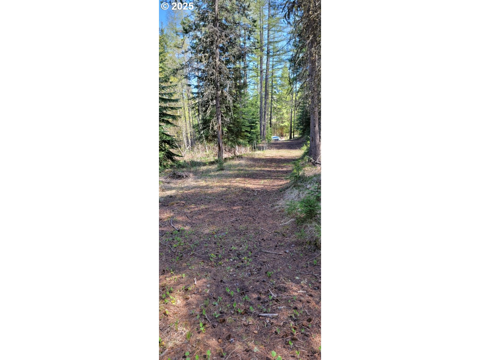 Chief Joseph Loop Road Joseph, OR 97846 - Photo 5 of 12 a view of a yard from a room