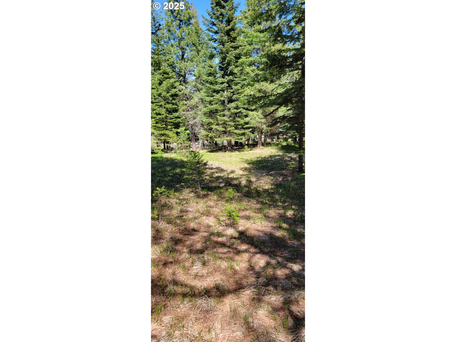 Chief Joseph Loop Road Joseph, OR 97846 - Photo 6 of 12 a picture of a window of a yard