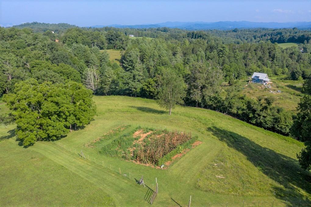 a view of a lush green forest with a lake