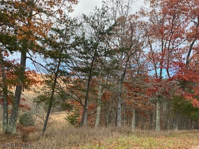 139 George Road Clearville, PA 15535 - Photo 3 of 22