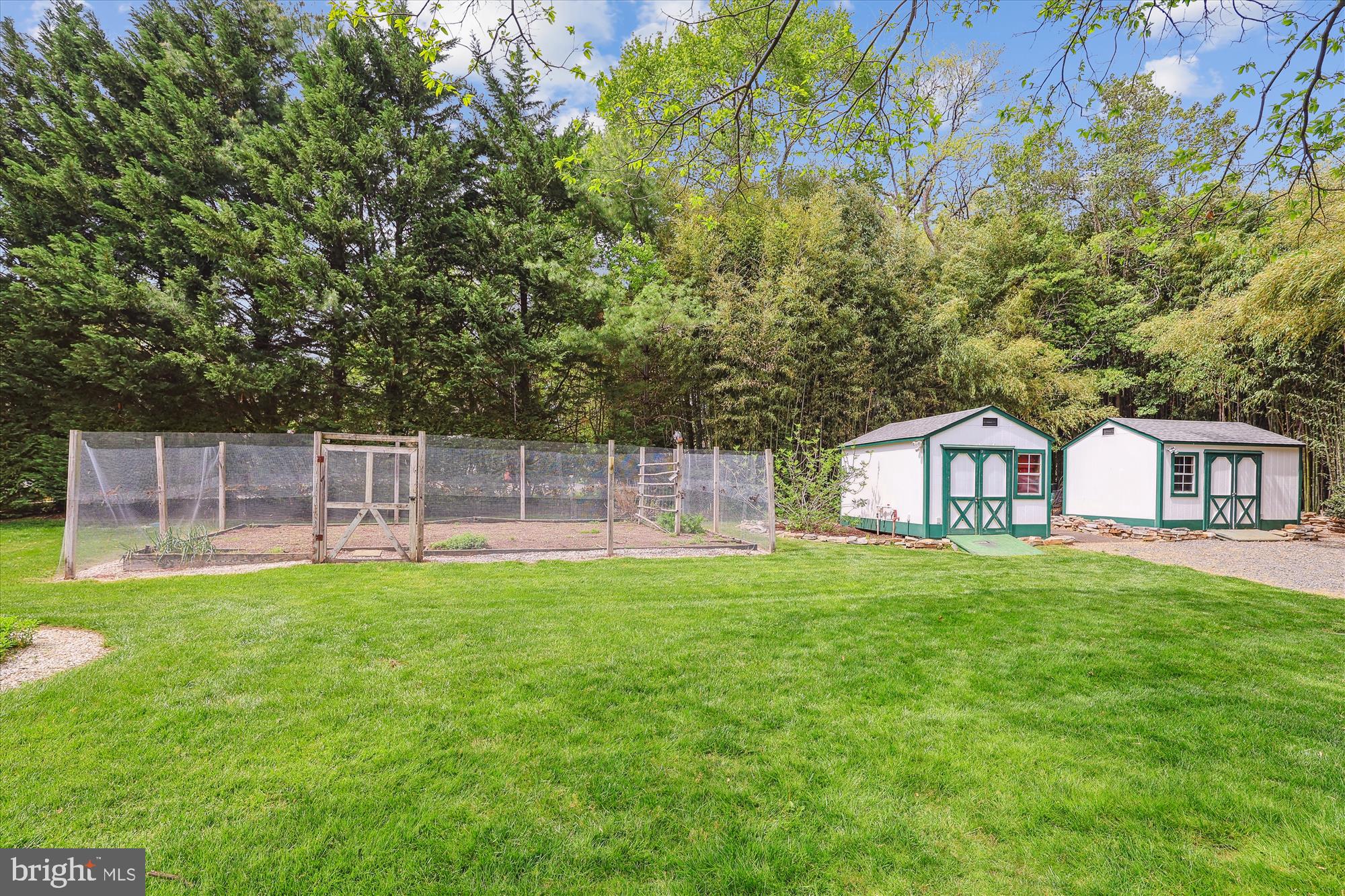6516 Elmdale Road Alexandria, VA 22312 - Photo 9 of 53 Garden or pet area and sheds