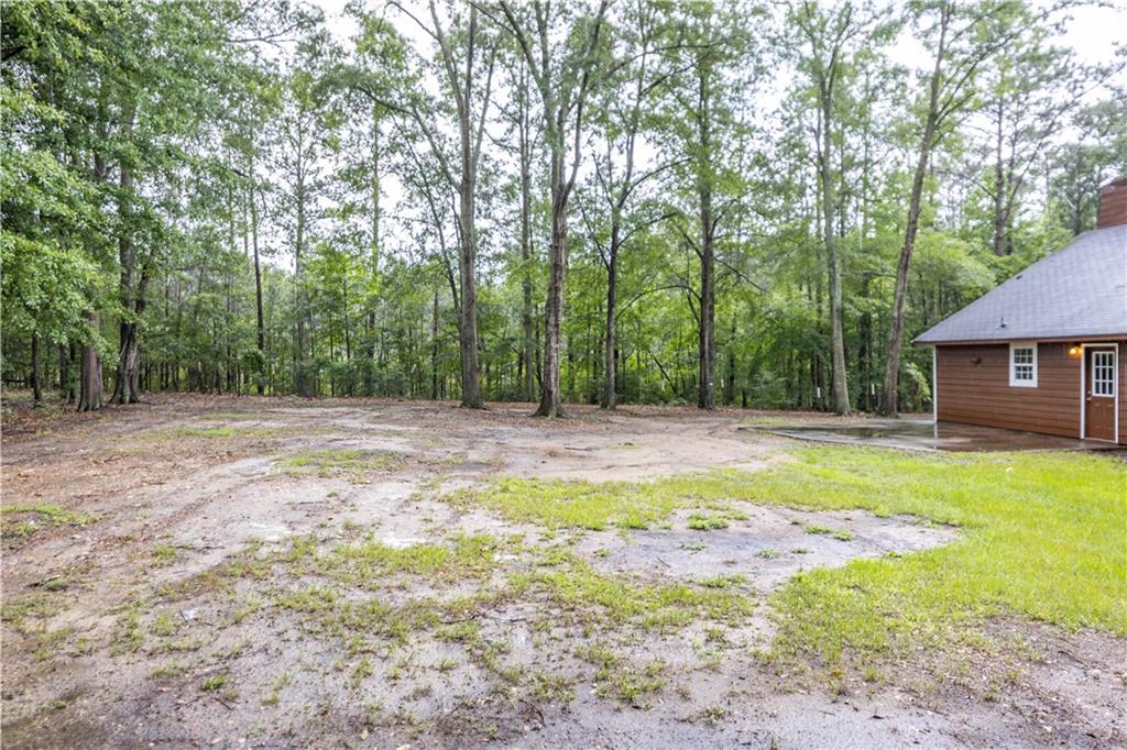 25 Gas Line Road Phenix City, AL 36870 - Photo 42 of 52 View of yard with a forest view