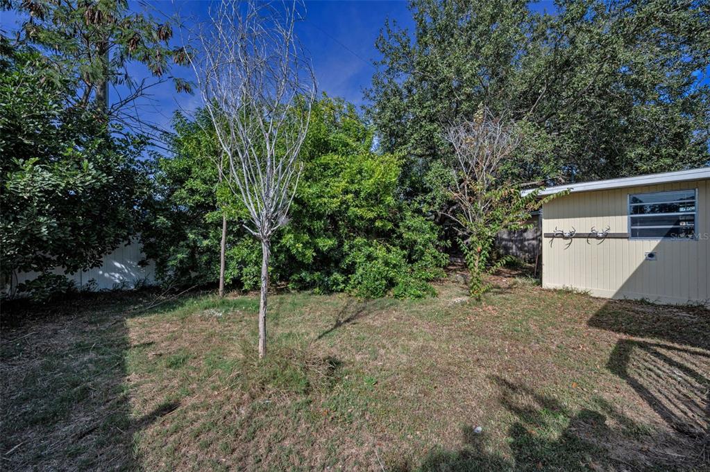 2476 Coronado Way Dunedin, FL 34698 - Photo 26 of 81