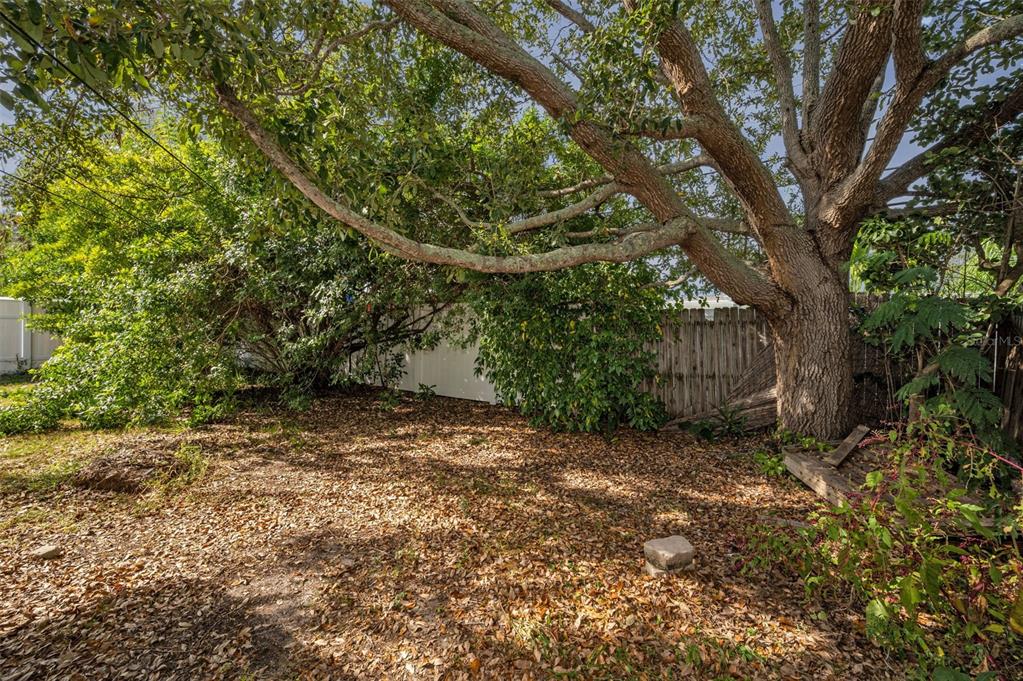 2476 Coronado Way Dunedin, FL 34698 - Photo 30 of 81