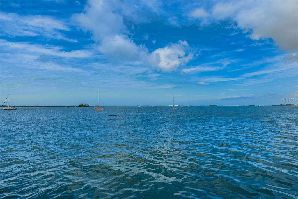 2476 Coronado Way Dunedin, FL 34698 - Photo 74 of 81