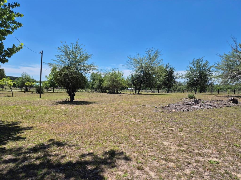 11651 Northeast 73rd Lane Bronson, FL 32621 - Photo 11 of 39 a view of a tree with a yard