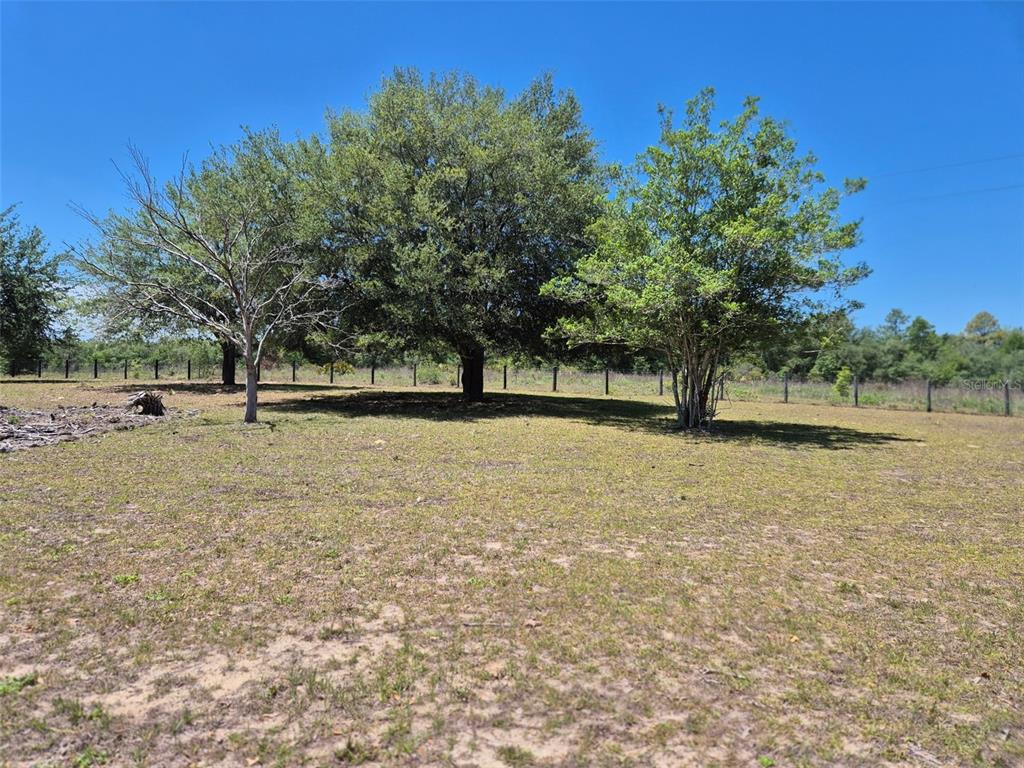11651 Northeast 73rd Lane Bronson, FL 32621 - Photo 12 of 39 a view of outdoor space with deck and yard