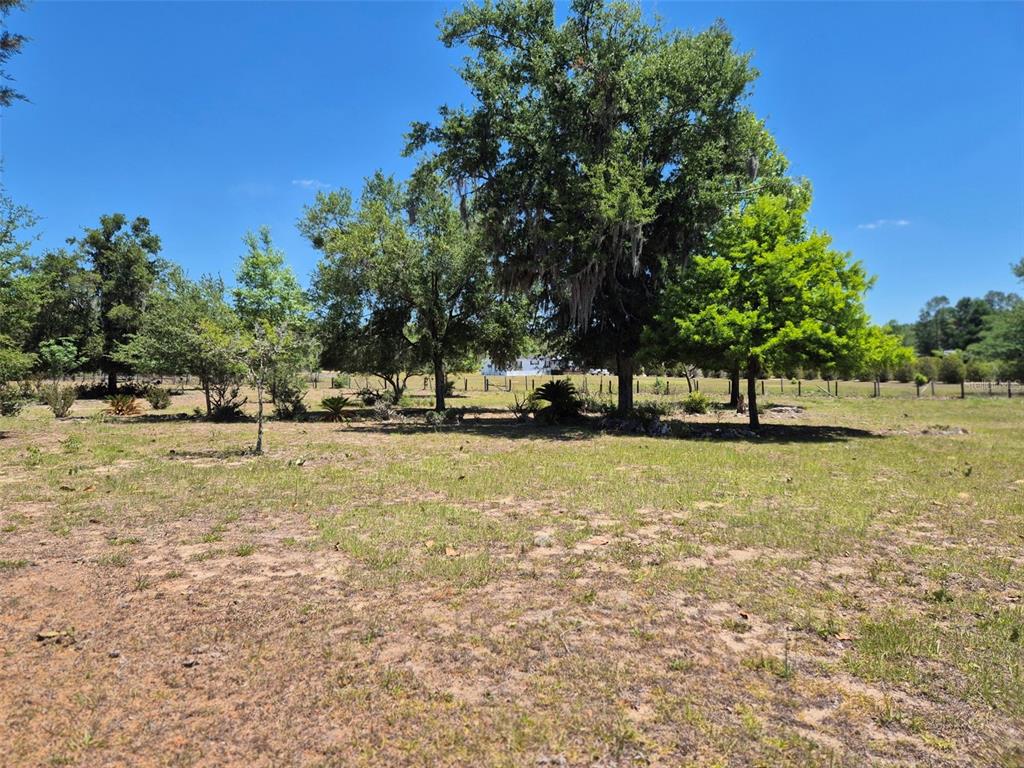 11651 Northeast 73rd Lane Bronson, FL 32621 - Photo 18 of 39 a view of green field