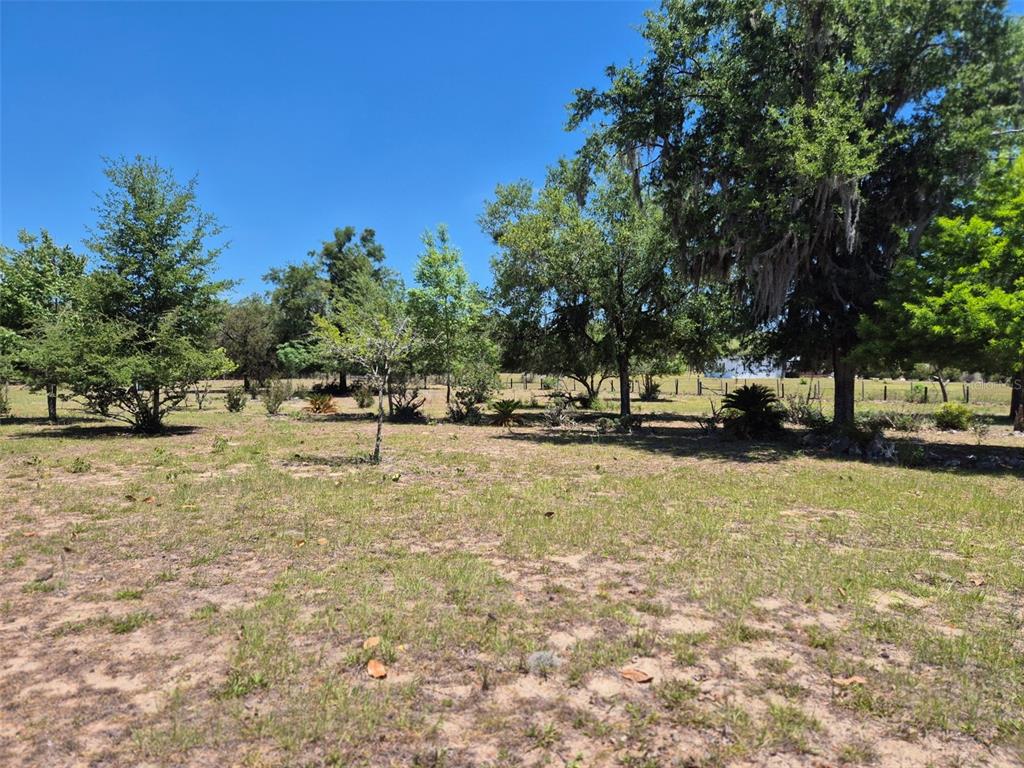 11651 Northeast 73rd Lane Bronson, FL 32621 - Photo 19 of 39 a view of outdoor space with trees