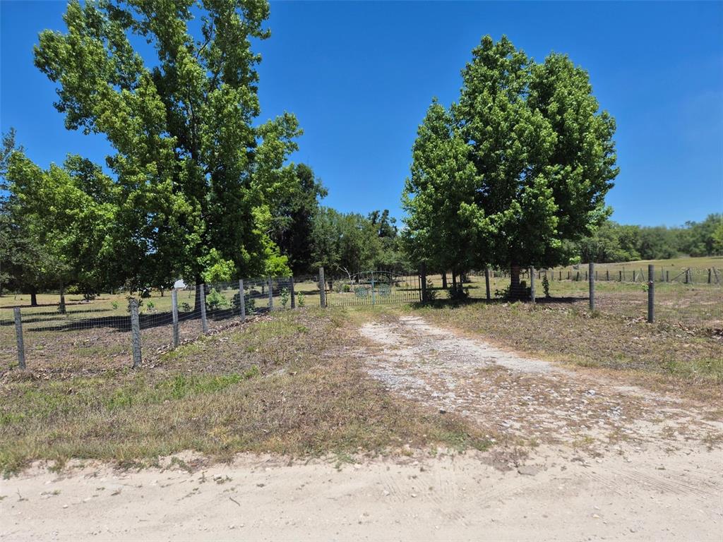 11651 Northeast 73rd Lane Bronson, FL 32621 - Photo 20 of 39 a view of outdoor space with trees