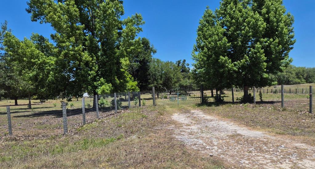 11651 Northeast 73rd Lane Bronson, FL 32621 - Photo 21 of 39 a backyard of a house with lots of green space