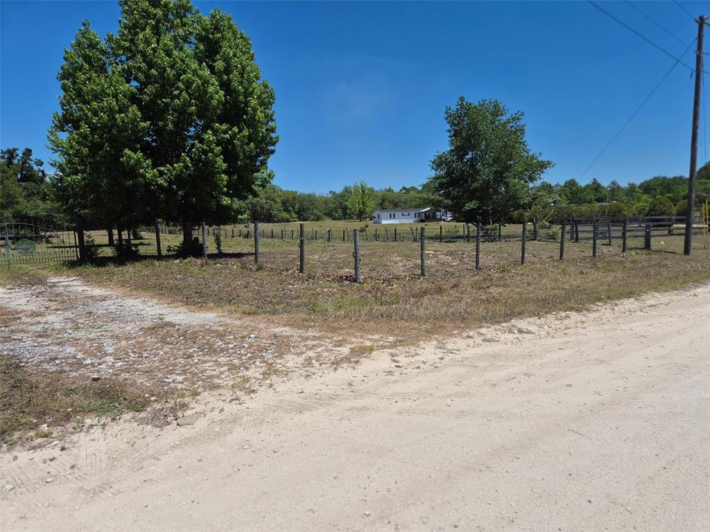11651 Northeast 73rd Lane Bronson, FL 32621 - Photo 23 of 39 a view of a dirt yard with a large tree