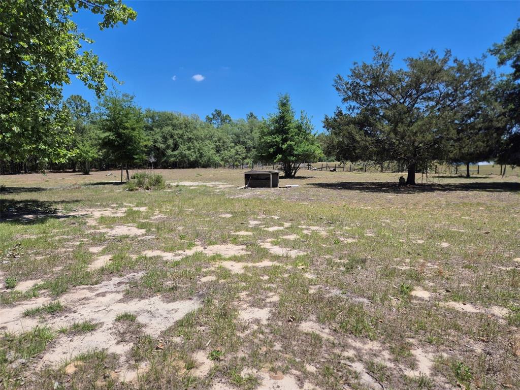 11651 Northeast 73rd Lane Bronson, FL 32621 - Photo 7 of 39 a view of a yard with a tree