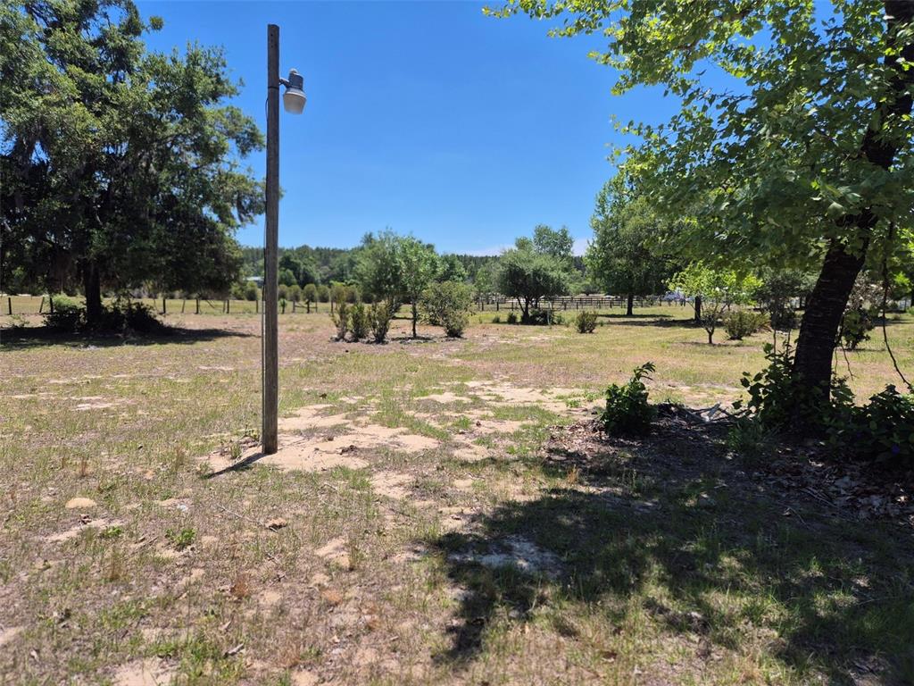 11651 Northeast 73rd Lane Bronson, FL 32621 - Photo 8 of 39 a view of dirt yard with a tree