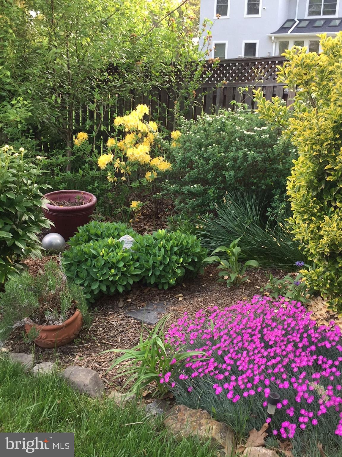 9809 Hall Road Potomac, MD 20854 - Photo 51 of 55 Lush Gardens