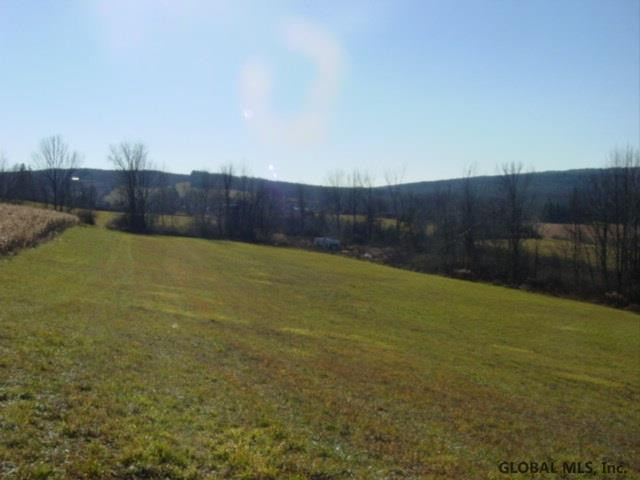 12 Stage Road East Berne, NY 12059 - Photo 1 of 8 Photo 1