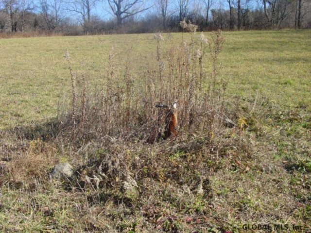 12 Stage Road East Berne, NY 12059 - Photo 2 of 8 Photo 2