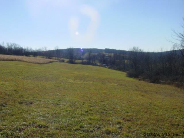 12 Stage Road East Berne, NY 12059 - Photo 3 of 8 Photo 3