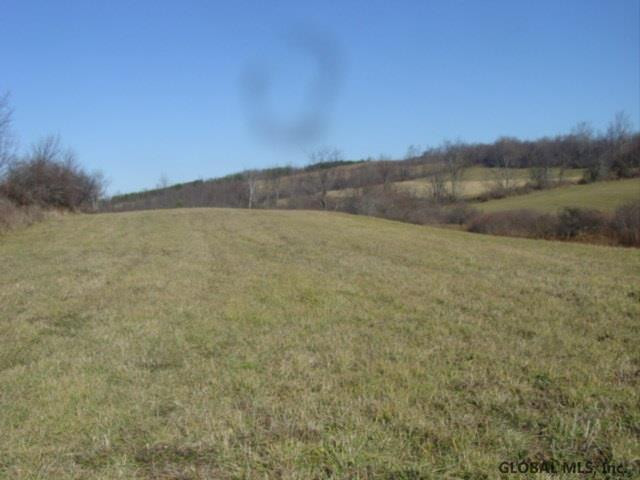 12 Stage Road East Berne, NY 12059 - Photo 4 of 8 Photo 4