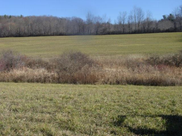 12 Stage Road East Berne, NY 12059 - Photo 5 of 8 Photo 5