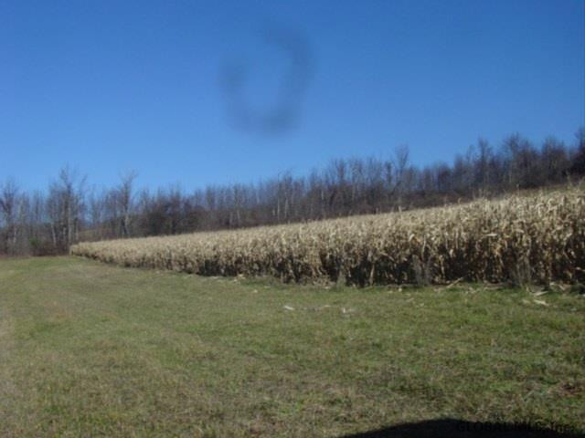 12 Stage Road East Berne, NY 12059 - Photo 6 of 8 Photo 6