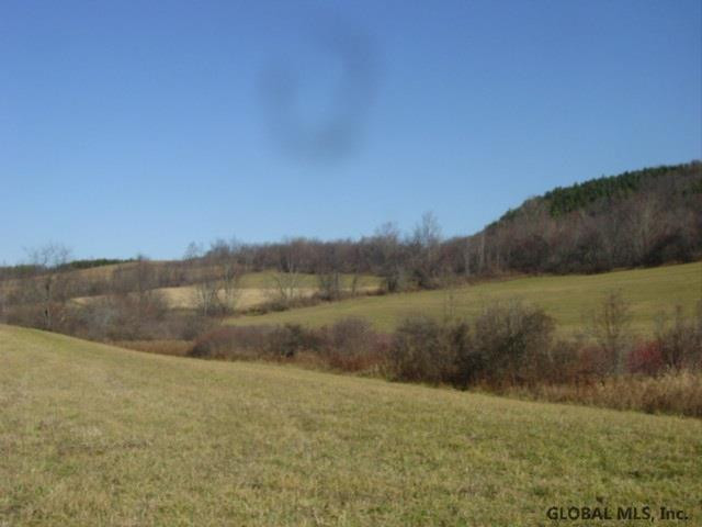 12 Stage Road East Berne, NY 12059 - Photo 7 of 8 Photo 7