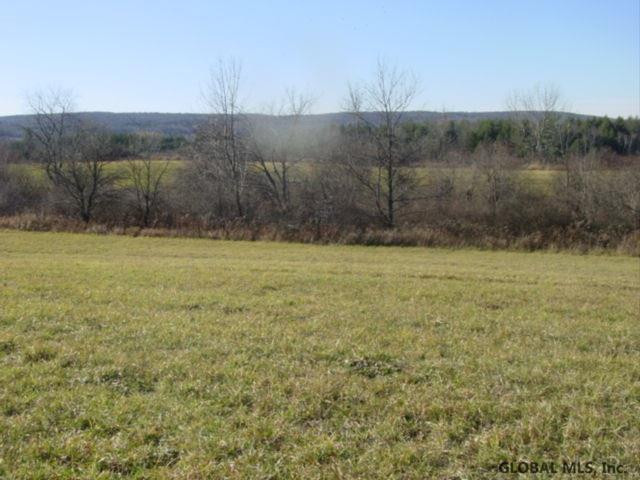 12 Stage Road East Berne, NY 12059 - Photo 8 of 8 Photo 8