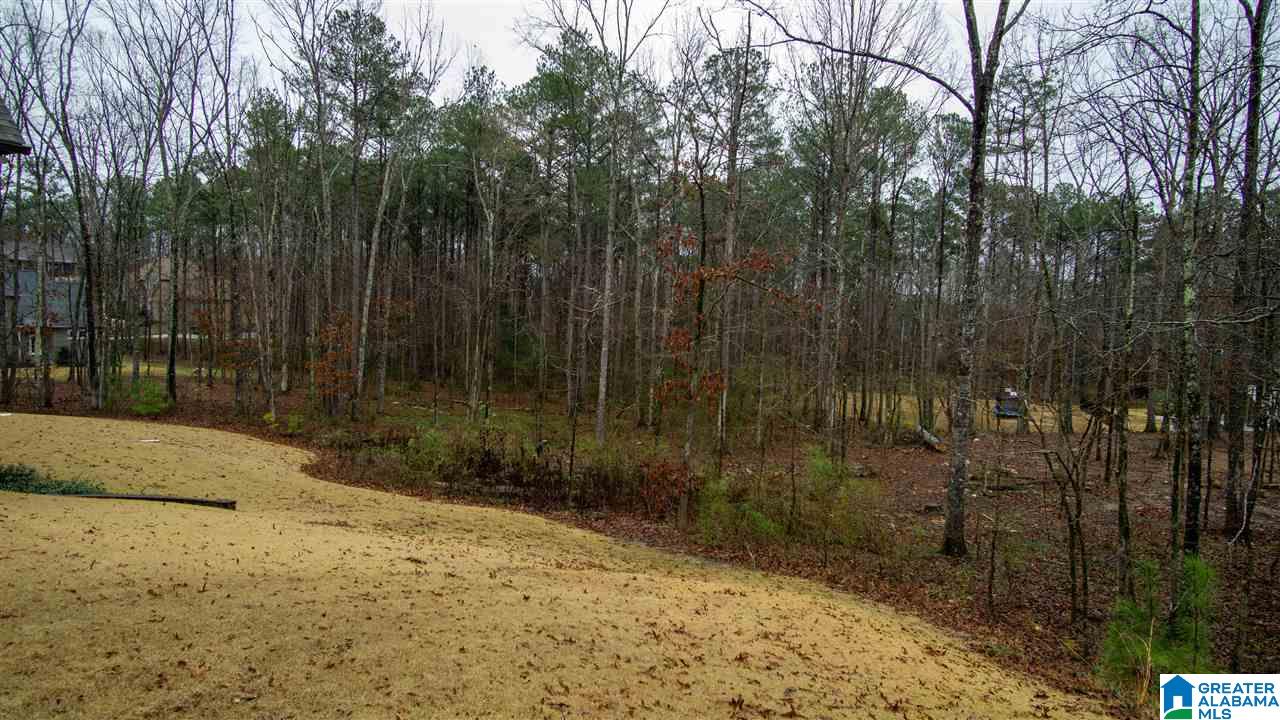 312 Logos Trace Alabaster, AL 35007 - Photo 8 of 35