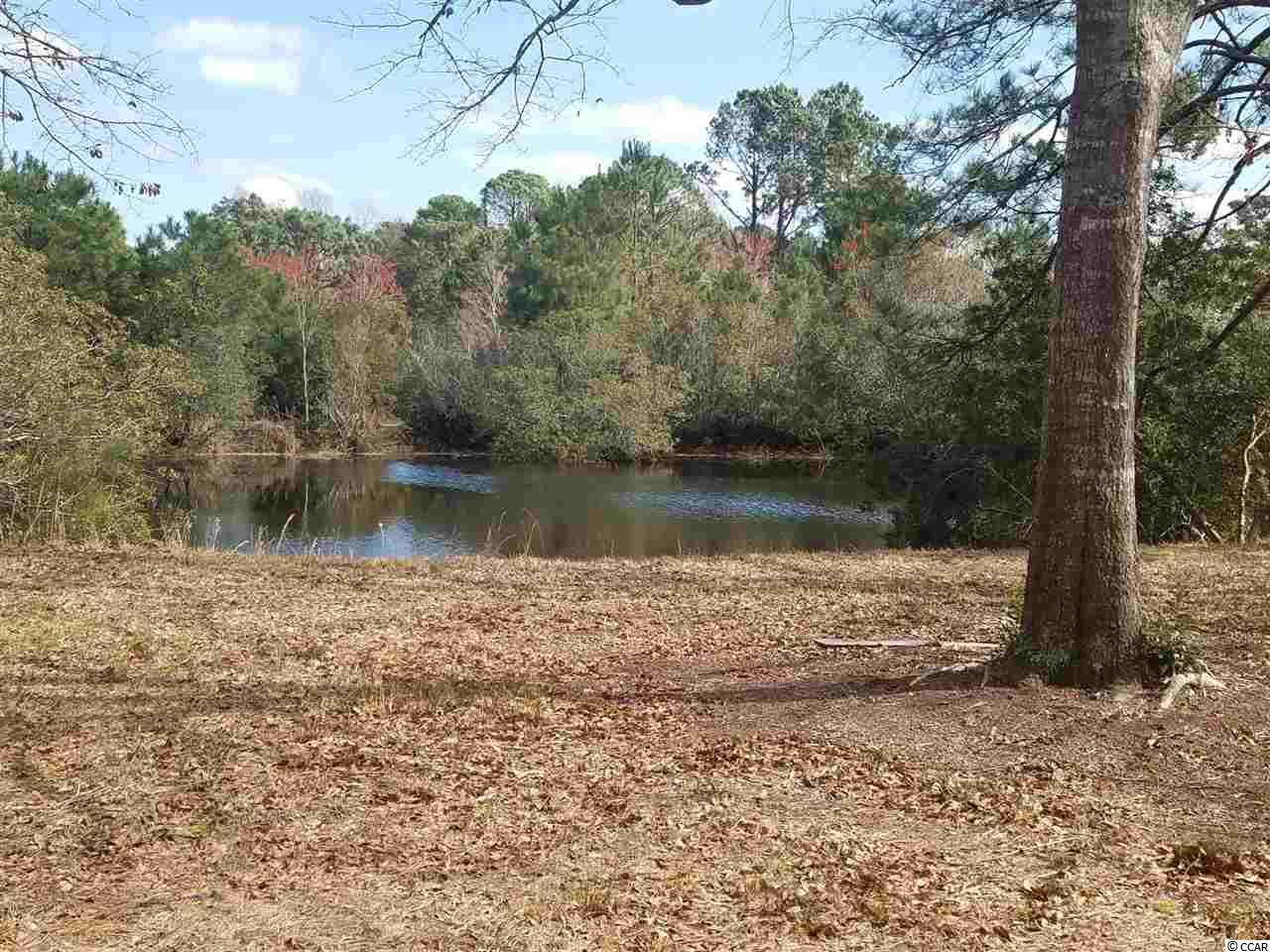 1450 Turkey Ridge Road Surfside Beach, SC 29575 - Photo 32 of 40