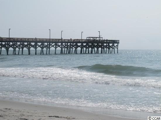 1450 Turkey Ridge Road Surfside Beach, SC 29575 - Photo 40 of 40