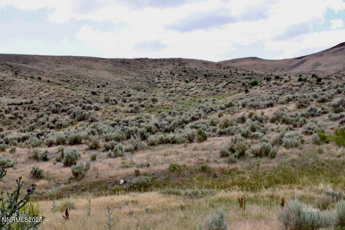 12.8-acres 12.8-acres Snow Bowl Road Elko, NV 89801 - Photo 2 of 15 Snowbowl24 3