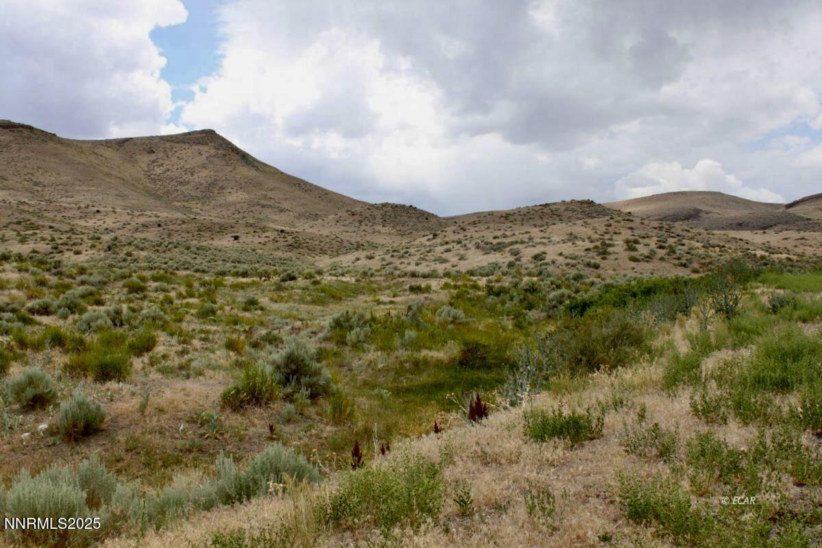 12.8-acres 12.8-acres Snow Bowl Road Elko, NV 89801 - Photo 4 of 15 snowbowl26 3