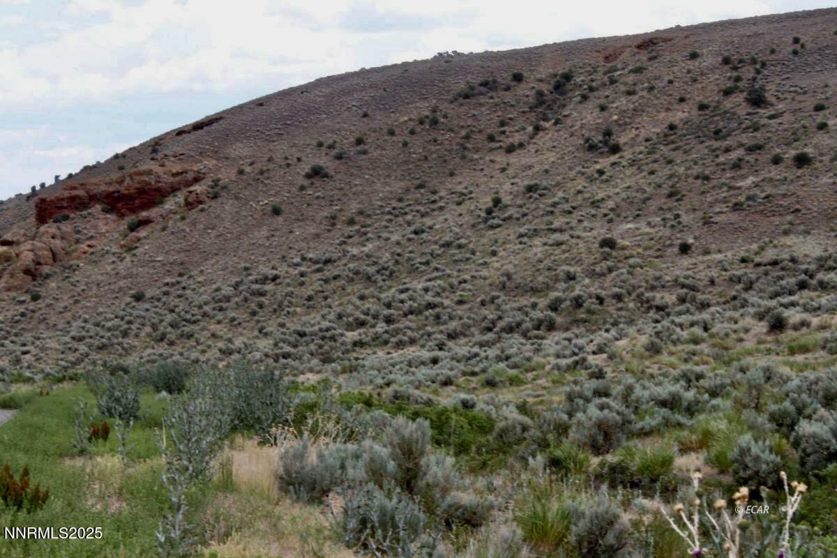 12.8-acres 12.8-acres Snow Bowl Road Elko, NV 89801 - Photo 5 of 15 Snowbowl28 3