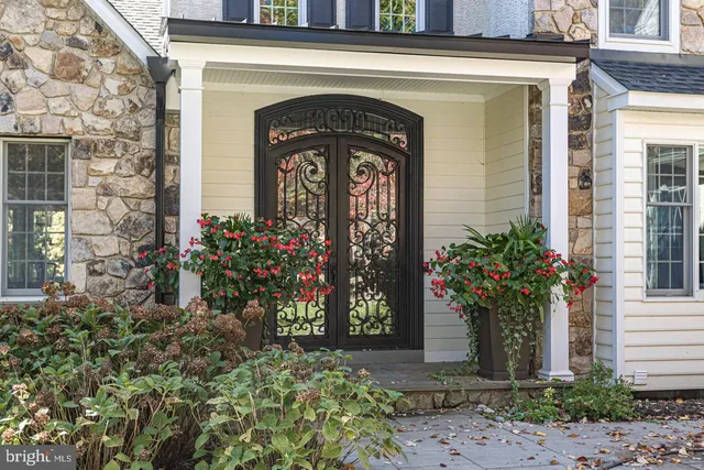 a view of a park with large trees