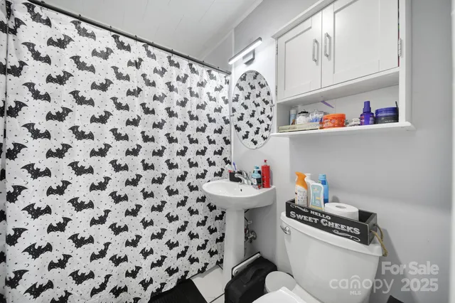 a bathroom with a sink toilet and a shower