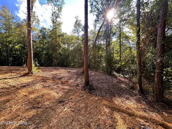 $80,000 | Ten Pleasant Hill Road, Unit 1, Ten Mile, TN 37880