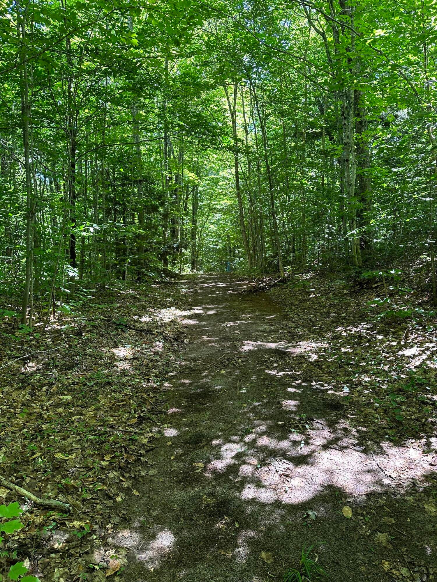 0 Pinewood Road Newberry, MI 49868 - Photo 2 of 4 Gallery Image 2