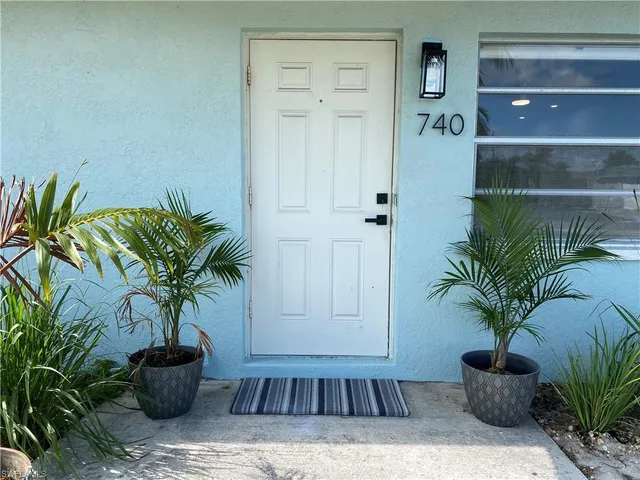 a potted plant sitting in a room next to a potted plant